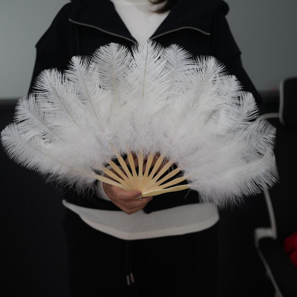 Colorful Ostrich Feather Folding Fan for Stage & Fashion Shows