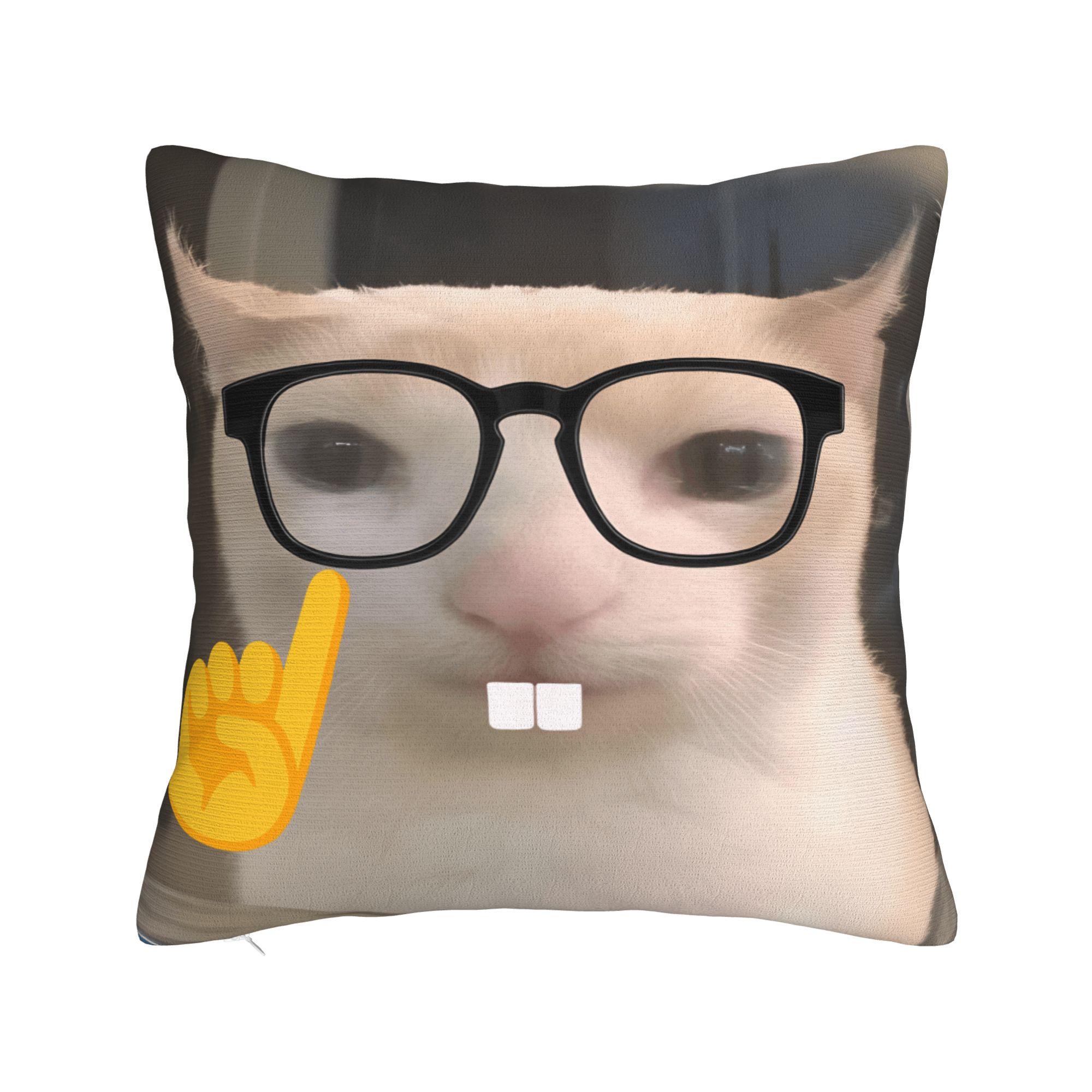 Pet Cat Funny memes Pillow Case  Morden Pillow Cover Comfy Pillowcases For Living Room Bed Chair 12x12Inch