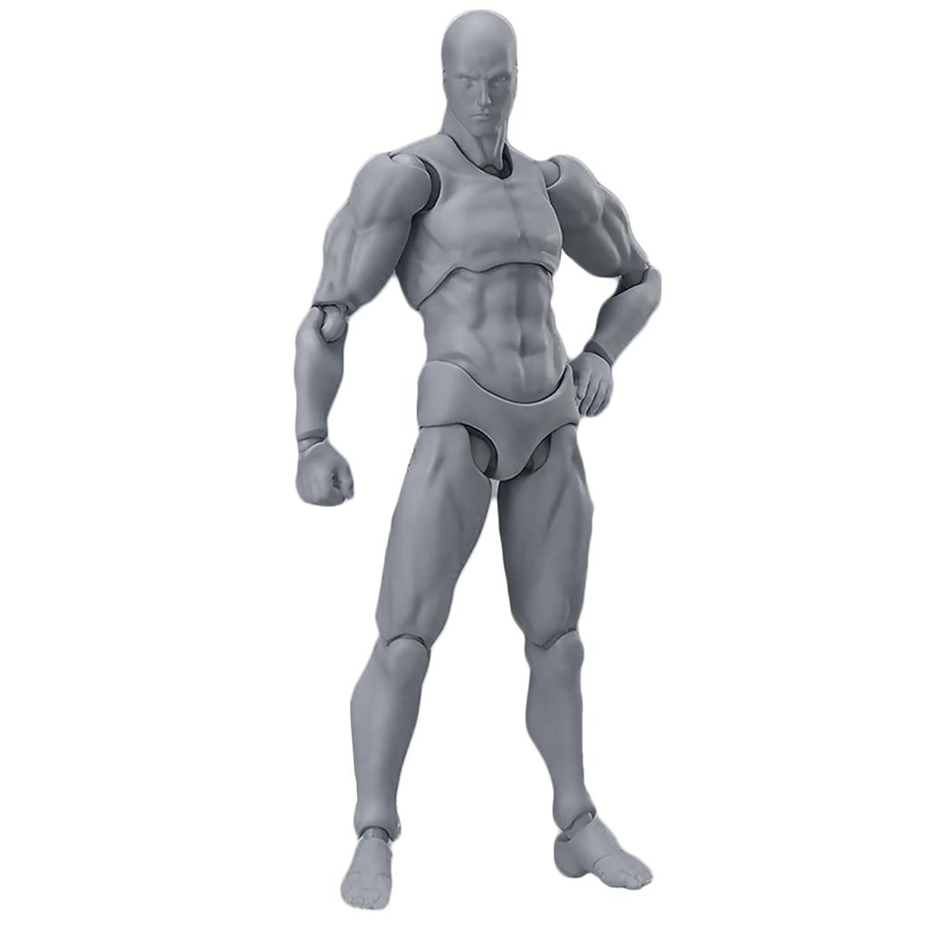 Figurine Articulée Modèle D'artiste - Corps Humain Miniature Pour Dessin, Photo Et Décoration