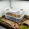 Mealworm rearing box, silkworm rearing box, double-mesh filter and ventilation rearing box, feces separation box, transparent