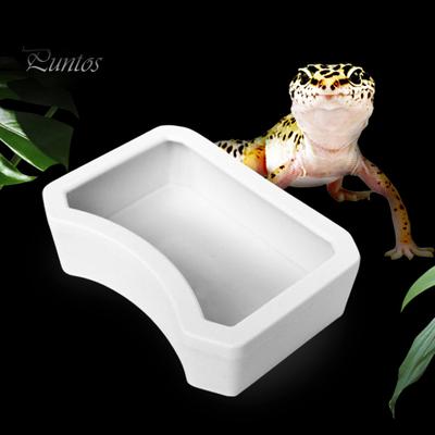 Reptile Water Bowl Plastic Food Grade Water Box Feeder Reptile Food Water Dish Pet Aquarium Ornament