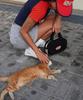 Minasu Menasoo Track Campcap_Red