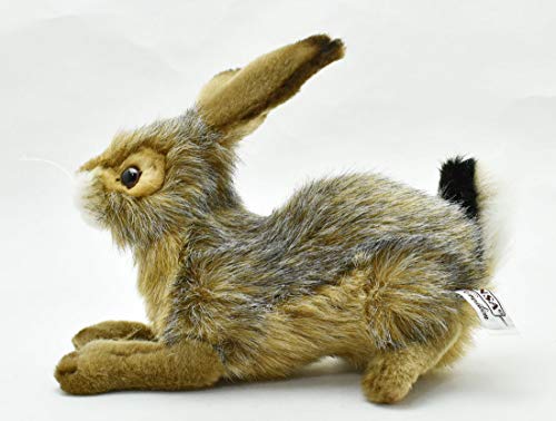 BH6284 HANSA Black-tailed Rabbit 25