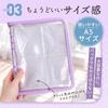 Trading Card File A5 21 Sheets 120 Perfect for Fan Sticker Photo 1 Pocket On Both The Place B 6-Hole Refill, (Holds Cards), Activities, Album, Album,