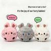 Popular Pet Toy: Small Dog Plush Spiky Ball - Teething, Chewing, Squeaky, Bouncy Animal Shape