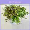 Plastic Lysimachia Christinae Wedding Backdrop Decoration For Photography And Home Decor
