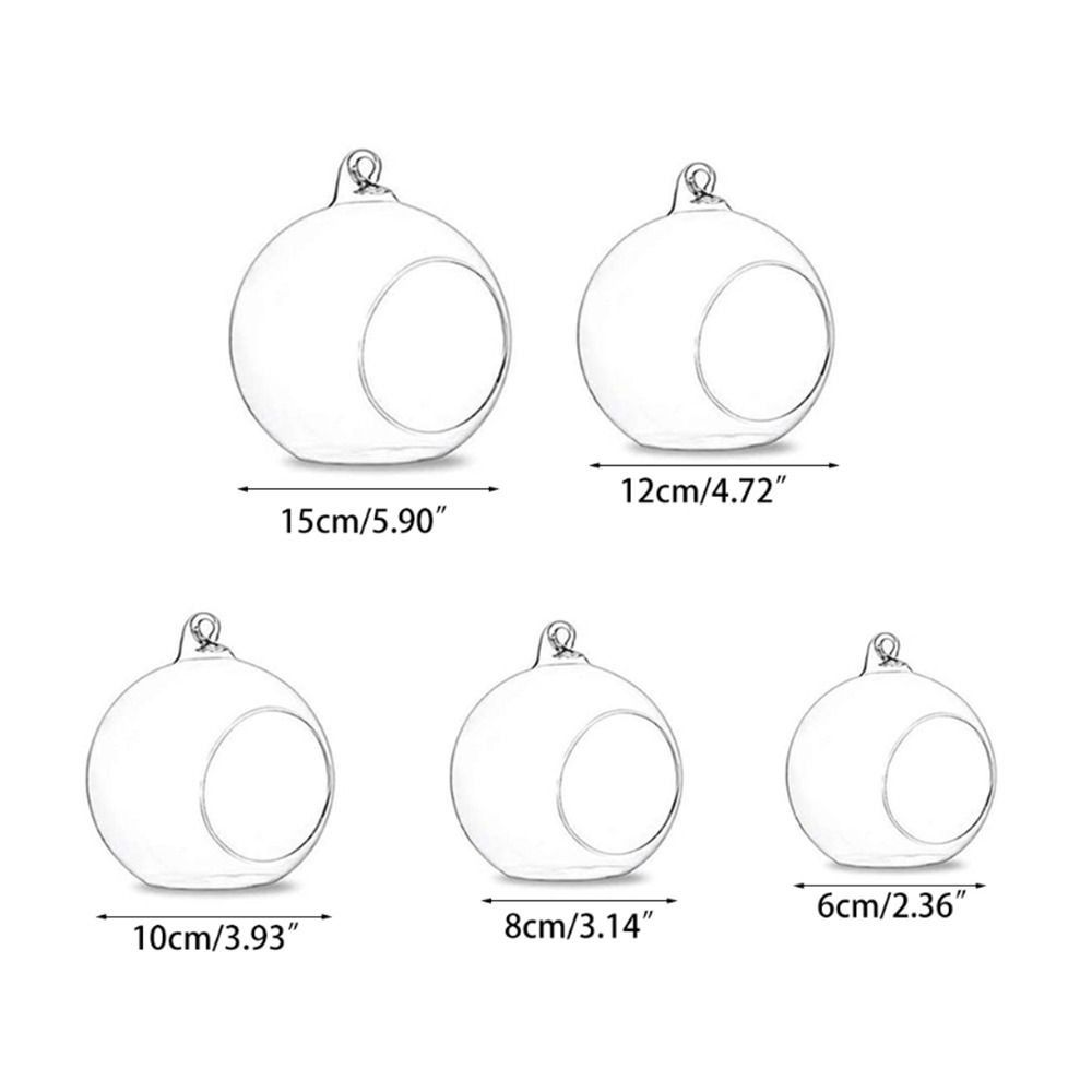 Simple Glass Transparent Hanging Vase Creative 6/8/10/12/15cm Succulents Plant Ball Container Flower Pot Home Decoration