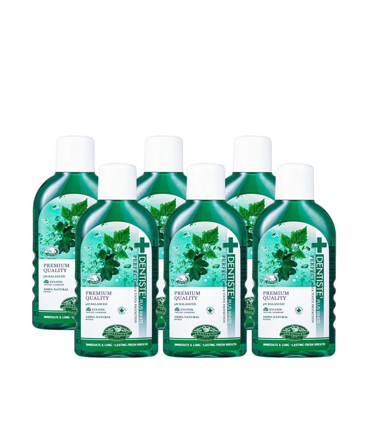 Dentiste Natural Oral Rinse 450ml x 6