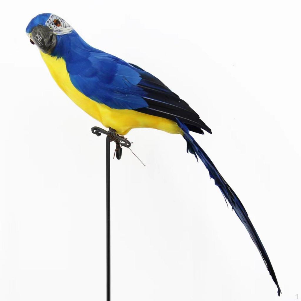 Simulation Macaw Statue Feathered Texture Fake Parrot Decoration Artificial Avian Ornament