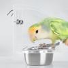 Parrots Food Bowl Acrylic and Sainlessed Steel Parakeet Food Container Anti Spill Design for Home and Bird Enthusiasts