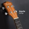 Kmise Concert Ukulele 23 Inch Ukulele Tuner and Case Top Design with Laser Included!