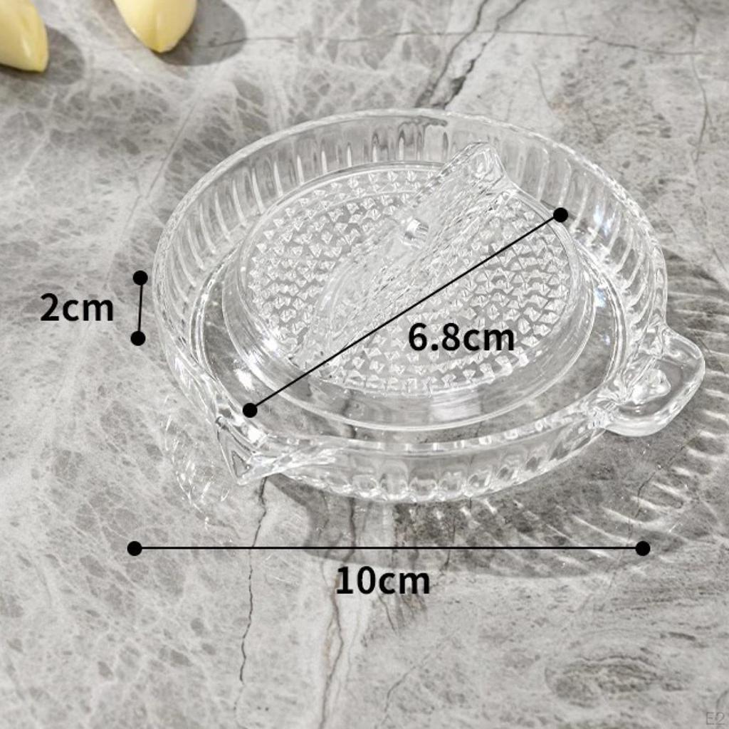 Ginger Garlic Grater,Grind Plate Manual Portable Multipurpose Kitchen Tool Crusher for Home