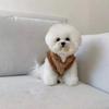 Traction Velvet Dog Clothes Winter Pet Teddy Puppy Small Dog Bigbear Pomeranian Cat Clothes Autumn And Winter