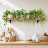 3D Green Hanging Plants Wall Sticker Wall Decals Removable Potted Greenery Bedroom Living Room Home Decoration