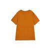 New Jordan T Shirt Men's Bronze White AO0665-228