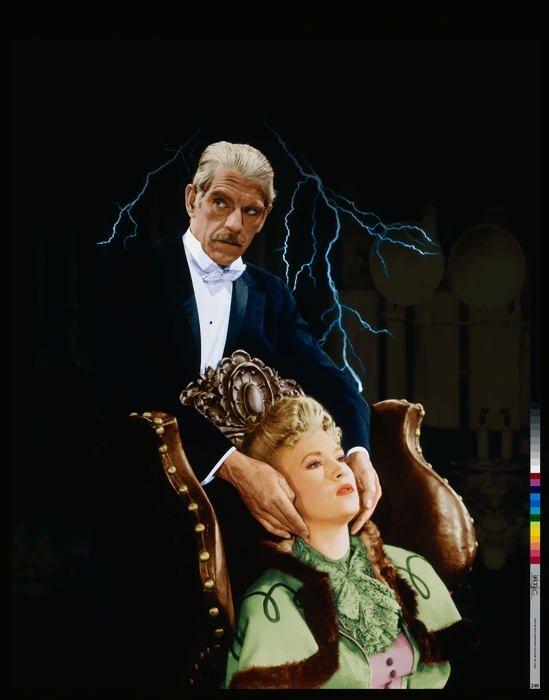 Blu-ray film eléphant la passion du docteur hohner blu-ray