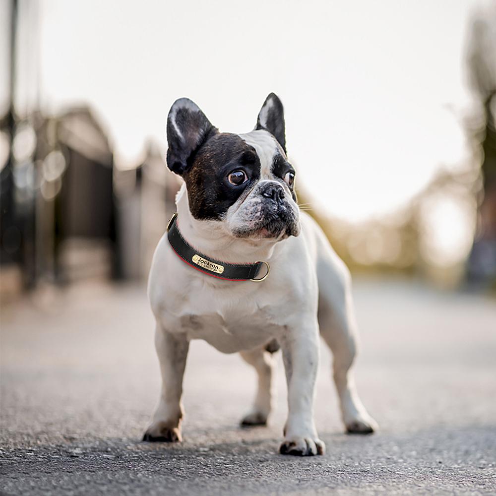 Custom PU Leather Dog Collar Free Engraving Dog Collars Adjustable Pet Pitbull Necklace Soft Padded for Small Medium Large Dogs