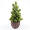 Artificial Green Plant Ground Plug, Suitable For Christmas Porch Decoration Outdoor And Indoor