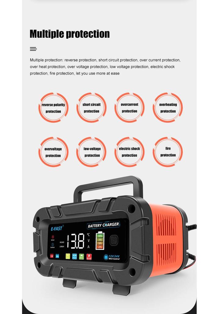 E-FAST High Power Lead-acid & Lithium 12V/24V Battery Charger, 20A/10A