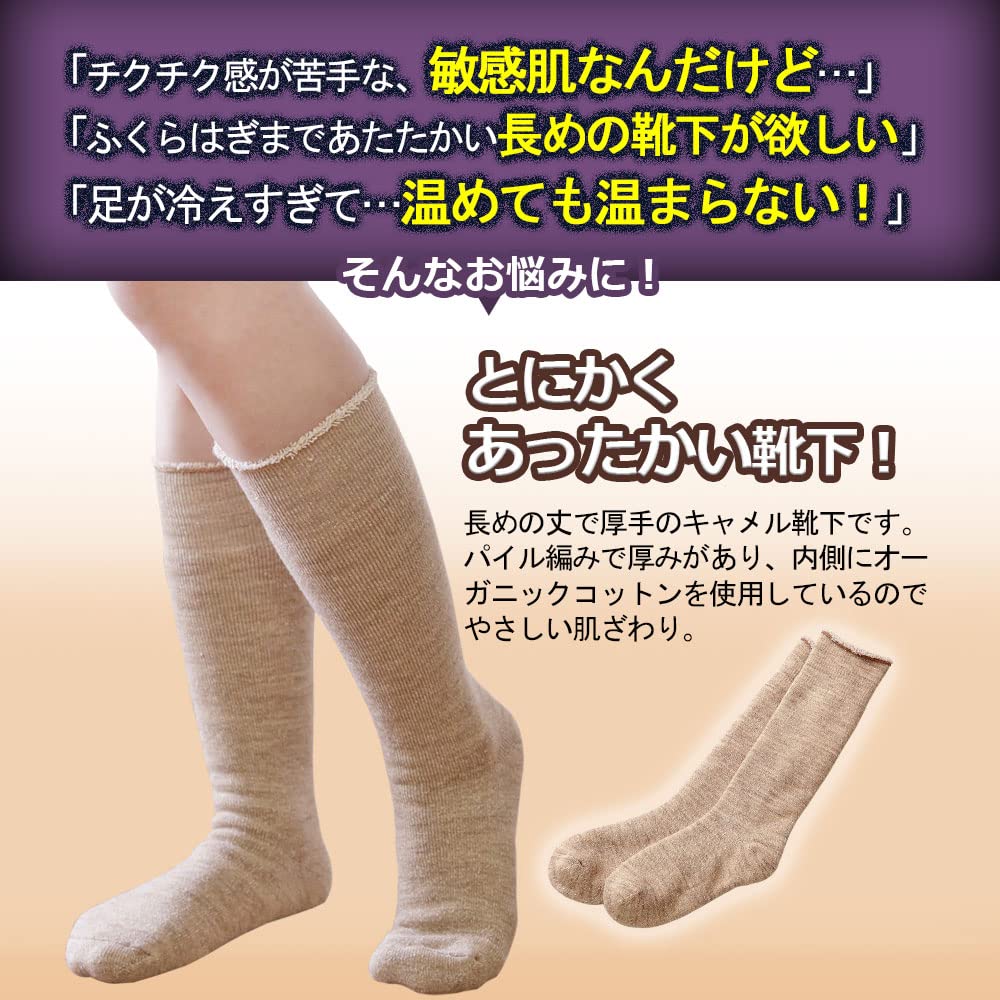 Camel Organic Cotton Long Made in Authentic Camelya Bonus Suitable for Sensitive Cold Insulation [Tennen-ya] & Knee-High Socks, Unisex, 2-Pair Set,