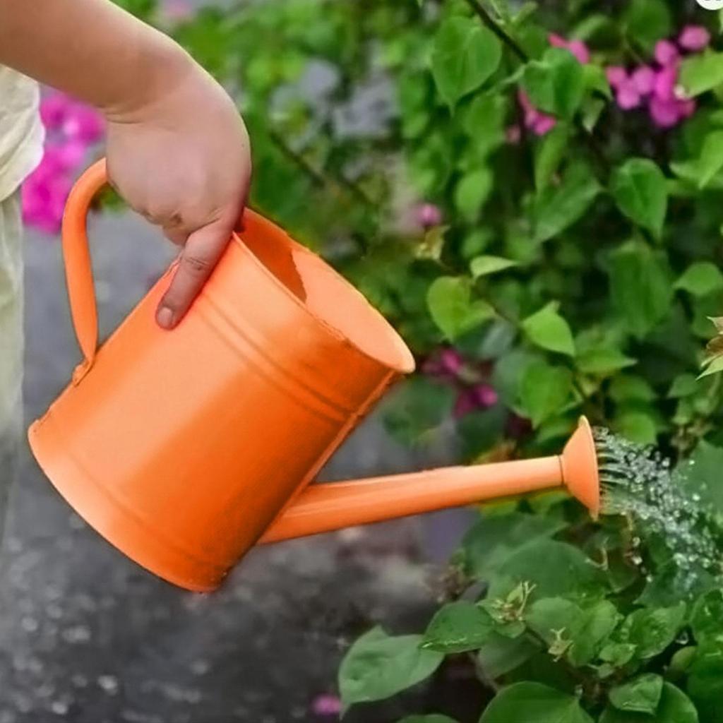 Kids Watering Can Garden Bucket Small Kettle for Flower Bed Bonsai Houseplants