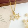 Necklace Star Necklace Accessory Women's Small-Scale Designated Elegant Collar Chain