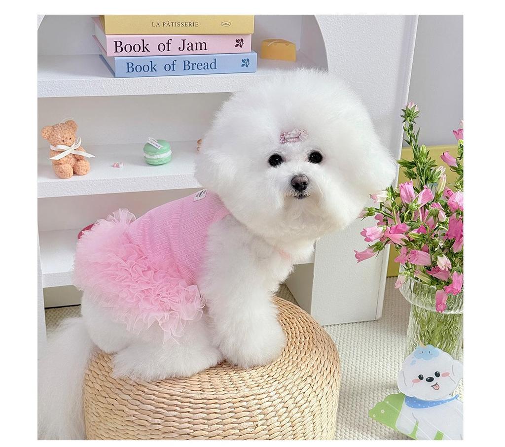 Haustier-Prinzessin-Kleid: Frühlings-/Sommer-Puff-Tüllrock für Katzen & kleine Hunde