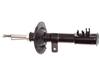 Ft11270 Fast Shock Absorber Front Le Gaz