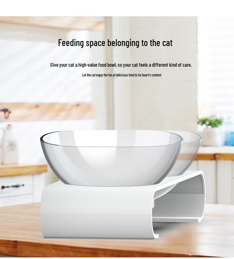Pet Cat & Dog Transparent Double Bowl - Angled Food & Water Feeder with Neck Protection