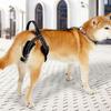 Lift Orthopedics Dog Harnesses Canine Hip Assistance Back Leg Support Harnesses for Injured or Disabled Dog and Cats