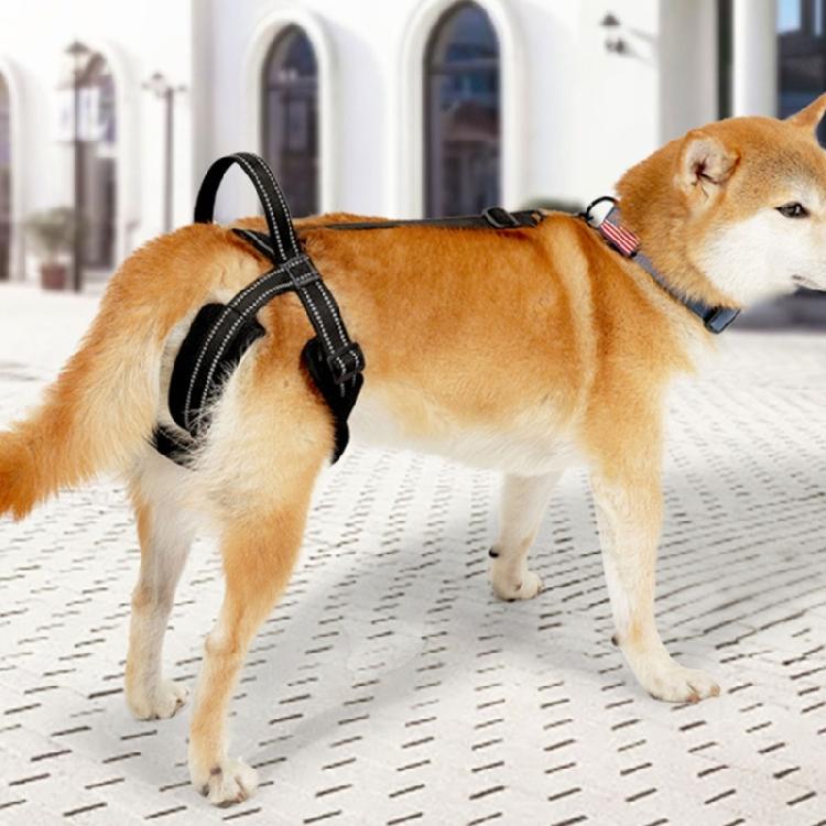 Lift Orthopedics Dog Harnesses Canine Hip Assistance Back Leg Support Harnesses for Injured or Disabled Dog and Cats
