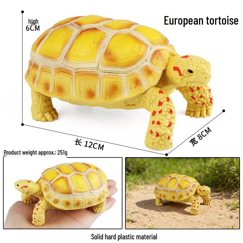 Children's Cognitive Marine Animal Models: Sea Turtle and Tortoise Toys