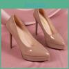 Toe Commuter Spring New Pointed Nude Color Sexy Stiletto Heel Womens High Heels