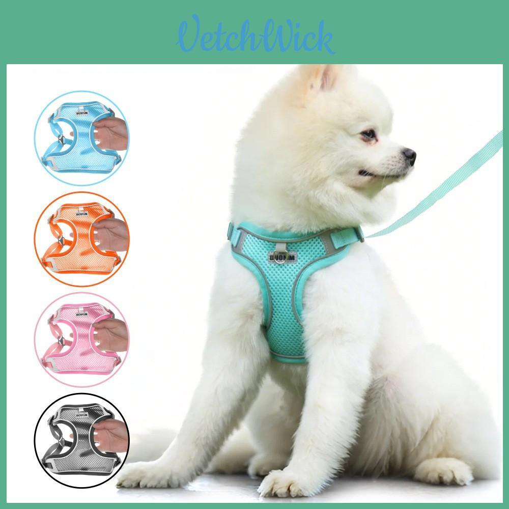 Pet Mesh Chest Harness With Quickdry Material For Small Medium Large Dogs