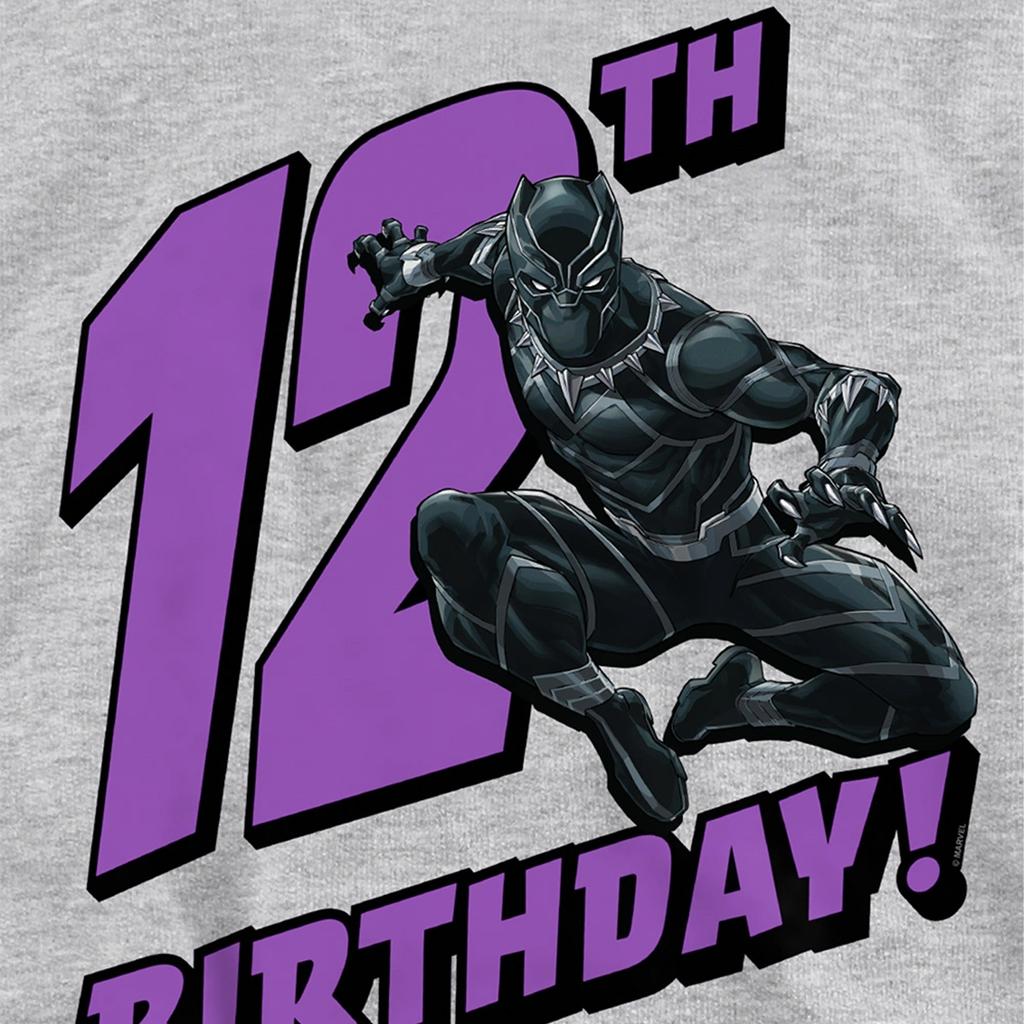 Black Panther Childrens/Kids Heather Pull Over 12th Birthday Hoodie