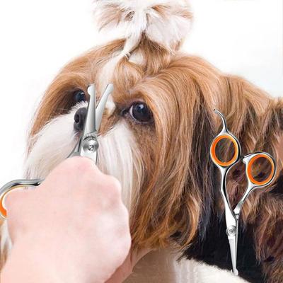 Paslanmaz Çelik Kedi Bakım Makası Profesyonel Köpek Saç Makası Temizleme