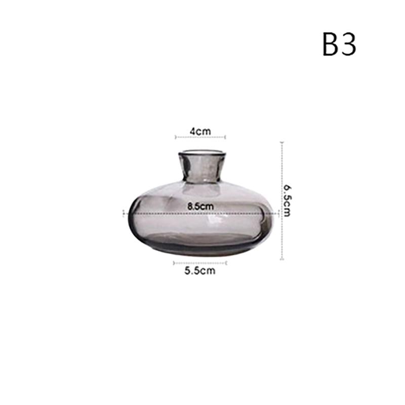 Przezroczysty szklany wazon na nasiona awokado Wazon na nasiona Zestaw do uprawy Wazon na awokado do uprawy Prezent dla miłośników ogrodnictwa Wystrój domu