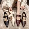 Pointed head shallow mouth single shoes women's middle heel 2025 new spring and autumn French temperament thick heel Mary Jane shoes retro small le