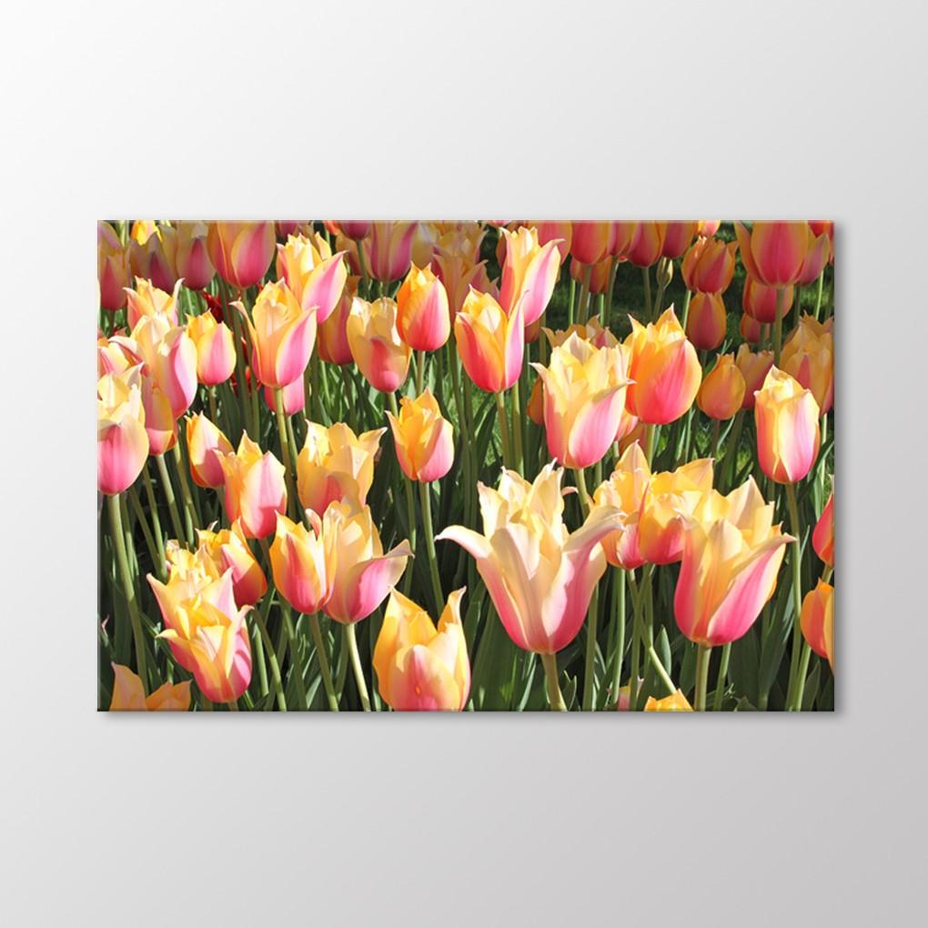 

Стол тюльпанов