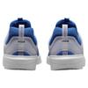 Nike Zoom Nyjah 3 Sb 'Game Royal' DV1187-400