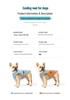 Pet Cooling Vest: Breathable, Anti-Heatstroke Dog Apparel with Reflective Strip for Summer