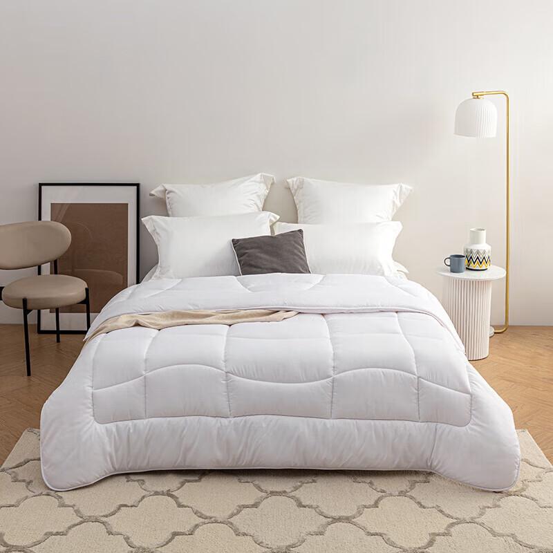 LOVO Warm Ginger Antibacterial Silky Soft Quilt