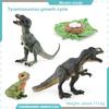 Pterosaur T Rex Growth Cycle Figures Pvc Models For Kid Science Educational Gift