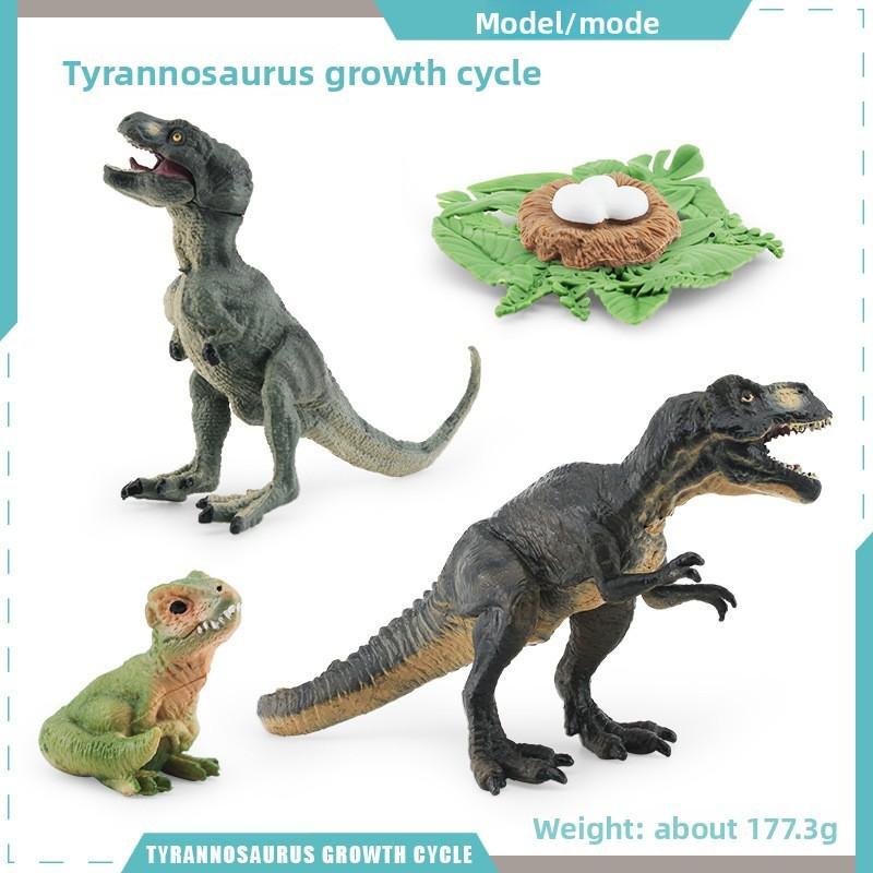Pterosaur T Rex Growth Cycle Figures Pvc Models For Kid Science Educational Gift