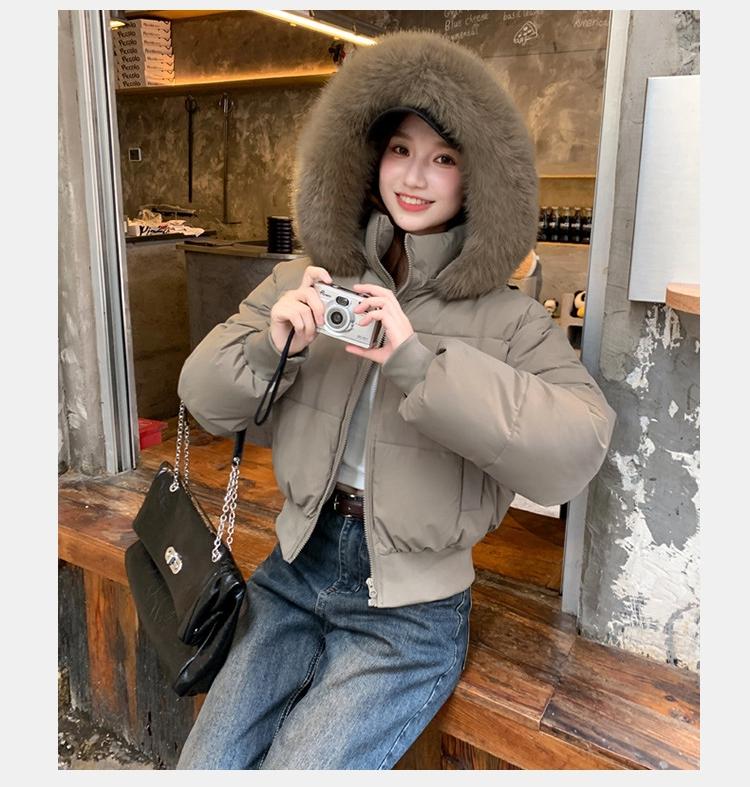 Women's Short Large Fur Collar Hooded Warm Cotton-padded Jacket