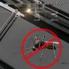 Insect-Repellent Decorative Grille Net for Huawei Luxeed S9 Exterior