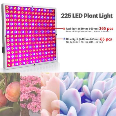 1000W LED Grow Light Wasserdicht 225 LEDs Vollspektrum für Indoor Hydroponische Pflanze Blume LED Grow Light Panel