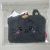 NCT Wish Riku Kuri Pouch