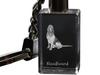 Bloodhound, St. Hubert Hound, Sleuth-hound - Crystal Key Ring with Dog Photo, Illuminated Key Ring, Unique Gift by Art-Dog Brand