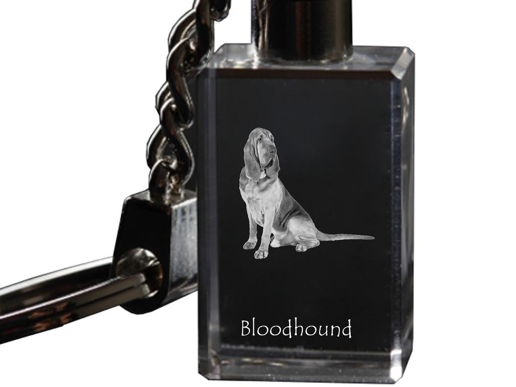Bloodhound, St. Hubert Hound, Sleuth-hound - Crystal Key Ring with Dog Photo, Illuminated Key Ring, Unique Gift by Art-Dog Brand